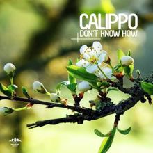 Calippo: Come On Over (Instrumental Club Mix)
