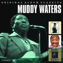 Muddy Waters: Mean Old Frisco Blues