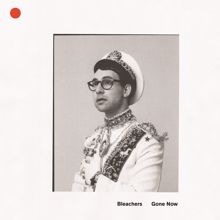 Bleachers: Everybody Lost Somebody