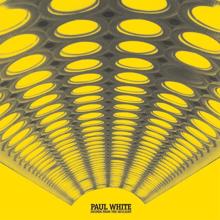 Paul White: Sounds From The Skylight