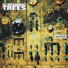 Screaming Trees: Troubled Times