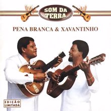 Pena Branca & Xavantinho: Samba de Roda