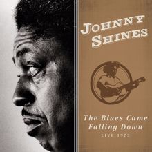 Johnny Shines: The Blues Came Falling Down (Live 1973)