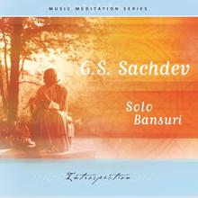 G.S. Sachdev: Introspection