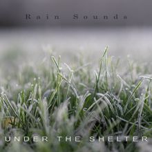 Rain Sounds: Under the Shelter