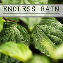 Rain Sounds: Endless Rain