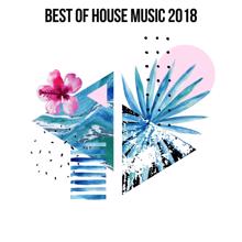 Ibiza House Classics: Best Of House Music 2018