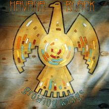 Havana Black: Growing Wings