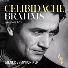 Wiener Symphoniker: Brahms: Symphony No. 1