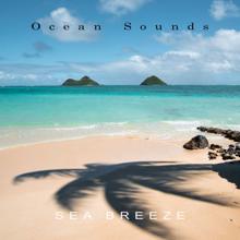 Ocean Sounds: Sea Breeze