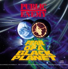 Public Enemy: Fear Of A Black Planet