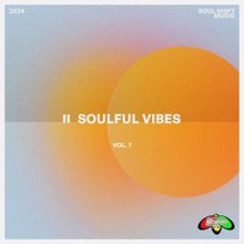 Various Artists: Soulful Vibes, Vol. 7