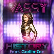 VASSY: History