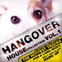 Various Artists: Hangover House Collection Vol. 1