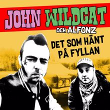 John Wildcat: Det som hänt på fyllan