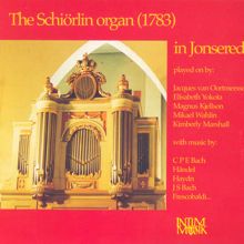 Various Artists: The Schiorlin Organ in Jonsered