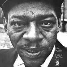 Little Walter: Hate To See You Go