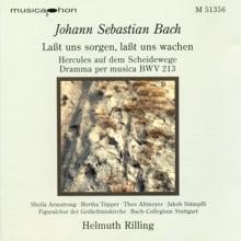 Helmuth Rilling: Bach, J.S.: Lasst Uns Sorgen, Lasst Uns Wachen / Keyboard Concerto