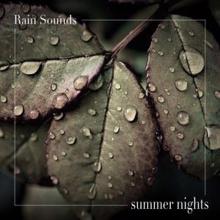 Rain Sounds: Summer Nights