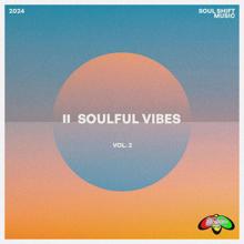 Various Artists: Soulful Vibes, Vol. 2