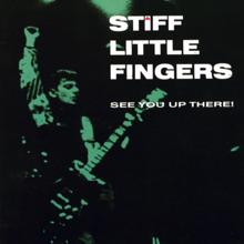 Stiff Little Fingers: At The Edge (Live From The Brixton Academy,United Kingdom/1988)