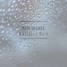 Rain Sounds: Wellness Rain