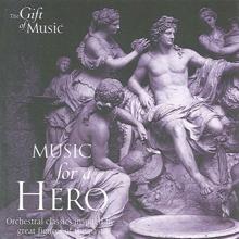 Various Artists: Music for a Hero