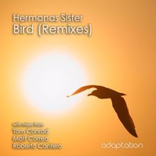 Hermanas Sister: Bird (Remixes)