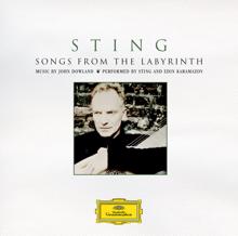 Sting: Fields Of Gold (New Version)