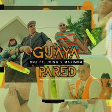 DNA: Guaya Pared (feat. J-King y Maximan)