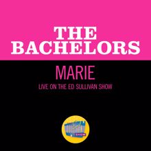 The Bachelors: Marie (Live On The Ed Sullivan Show, May 23, 1965) (MarieLive On The Ed Sullivan Show, May 23, 1965)