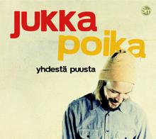 Jukka Poika: Rautapaita gong fu