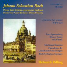 Helmuth Rilling: Bach, J.S.: Preise Dein Glucke, Gesegnetes Sachsen / Sinfonias From Cantatas - Bwv 21, 75, 182, 1040