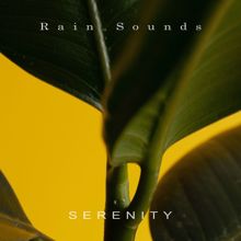 Rain Sounds: Serenity