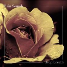 Rain Sounds: Deep Breath