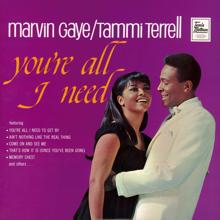 Marvin Gaye: You're All I Need