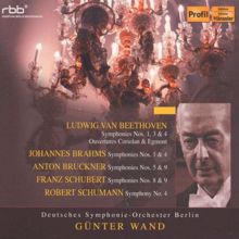 Günter Wand: Deutsches Symphonie-Orchester Berlin / Gunter Wand
