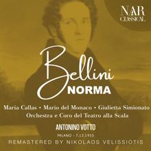 Antonino Votto: BELLINI: NORMA