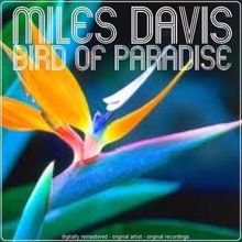 Miles Davis: Bird of Paradise