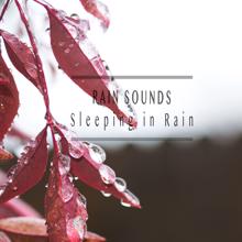 Rain Sounds: Sleeping in Rain