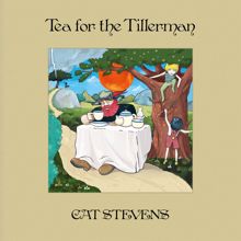Cat Stevens: Tea For The Tillerman (Super Deluxe) (Tea For The TillermanSuper Deluxe)