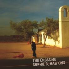 Sophie B. Hawkins: Damn, I Wish I Was Your Lover (Acoustic Version)