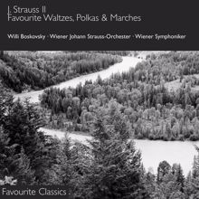 Wiener Johann Strauss Orchester: J. Strauss II - The Blue Danube