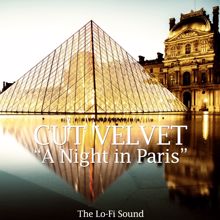 Cut Velvet: A Night in Paris