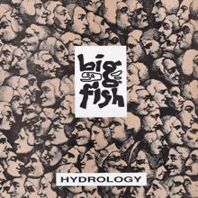 Big Fish: Hydrology