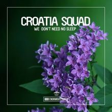 Croatia Squad: We Don't Need No Sleep (Instrumental Mix)