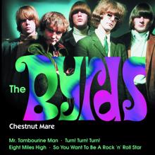 The Byrds: Super Hits