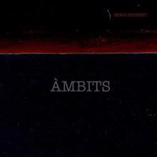 Sergi Sirvent: Àmbits