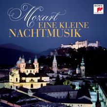 Collegium Aureum: Mozart: Eine kleine Nachtmusik