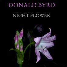 Donald Byrd: Night Flower